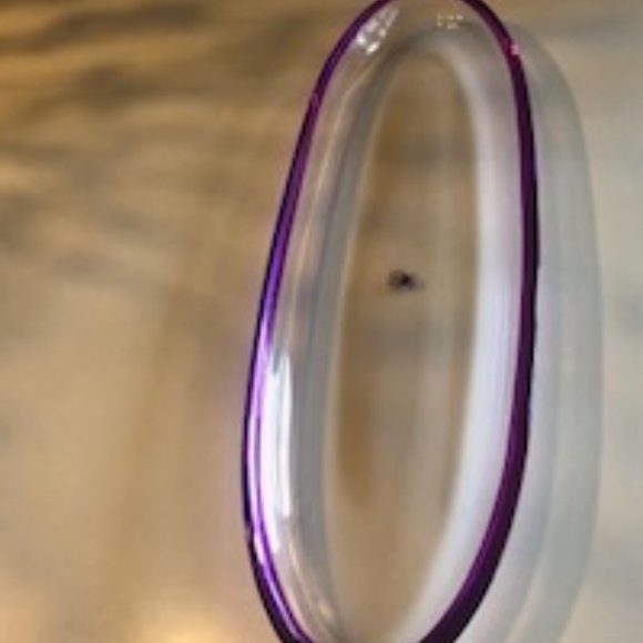 DIP PLATTER/GLASS PURPLE RIM - Picture 2 of 7
